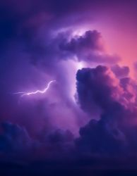 عندما يعشق الرعد: رحم للايجار